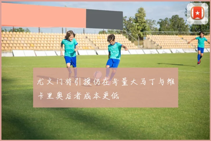 尤文门将引援仍在考量大马丁与维卡里奥后者成本更低
